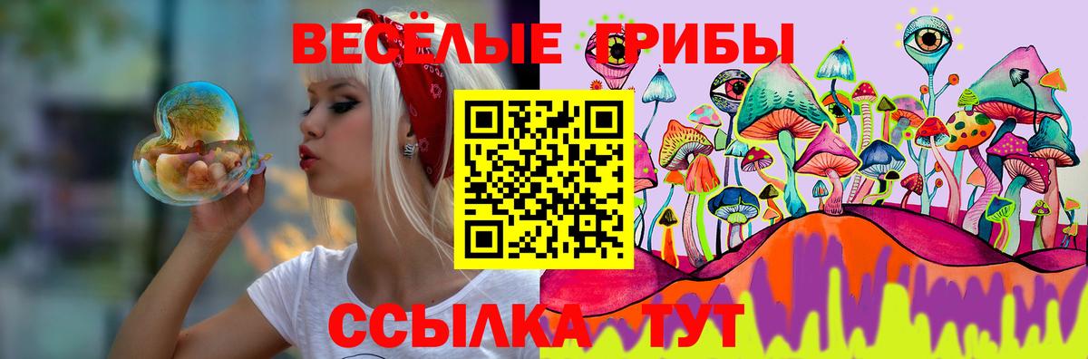 Псков  Галлюциногенные грибы Magic Shrooms  Вход с VPN 