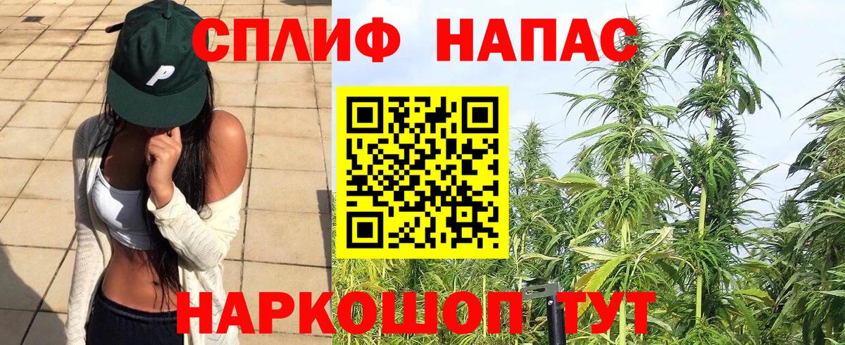 Бошки марихуана тримм  МАРИХУАНА Amnesia  Вход с VPN  Псков 